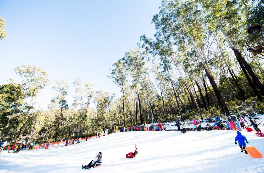 Corin Forest, Australia
